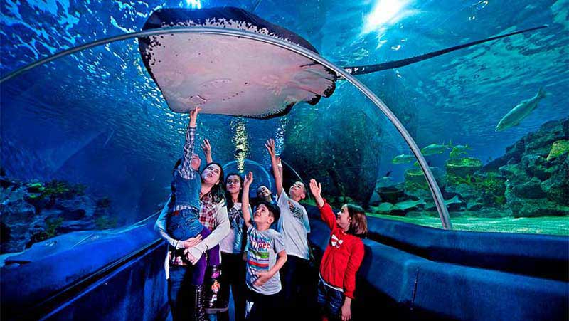 istanbul aquarium tour ilksu tour turkey travel agency